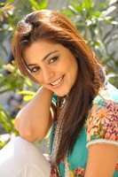Nisha Agarwal Latest Photos